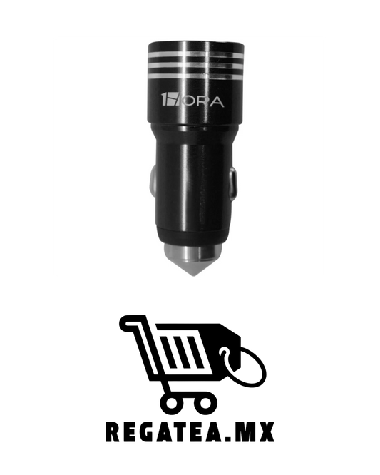 Cargador carro 2.1 1Hora