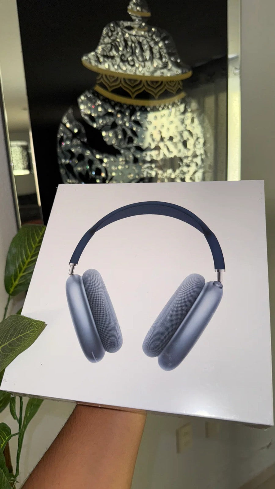 Airpods Max Eco